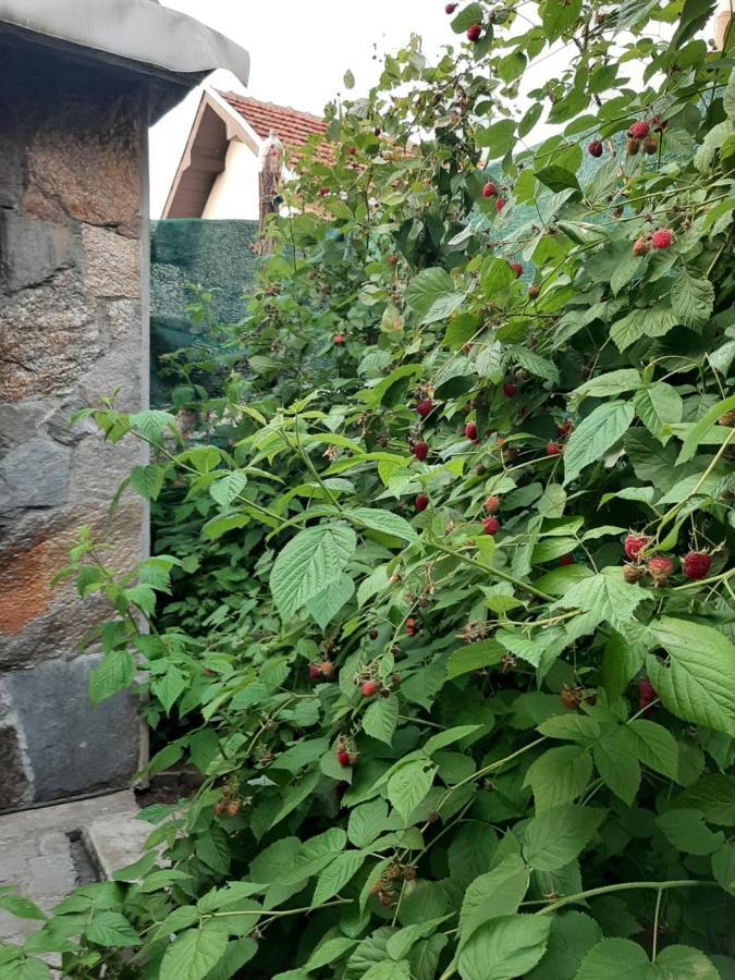 Nikolic Apartment 2 Leskovac  Bagian luar foto